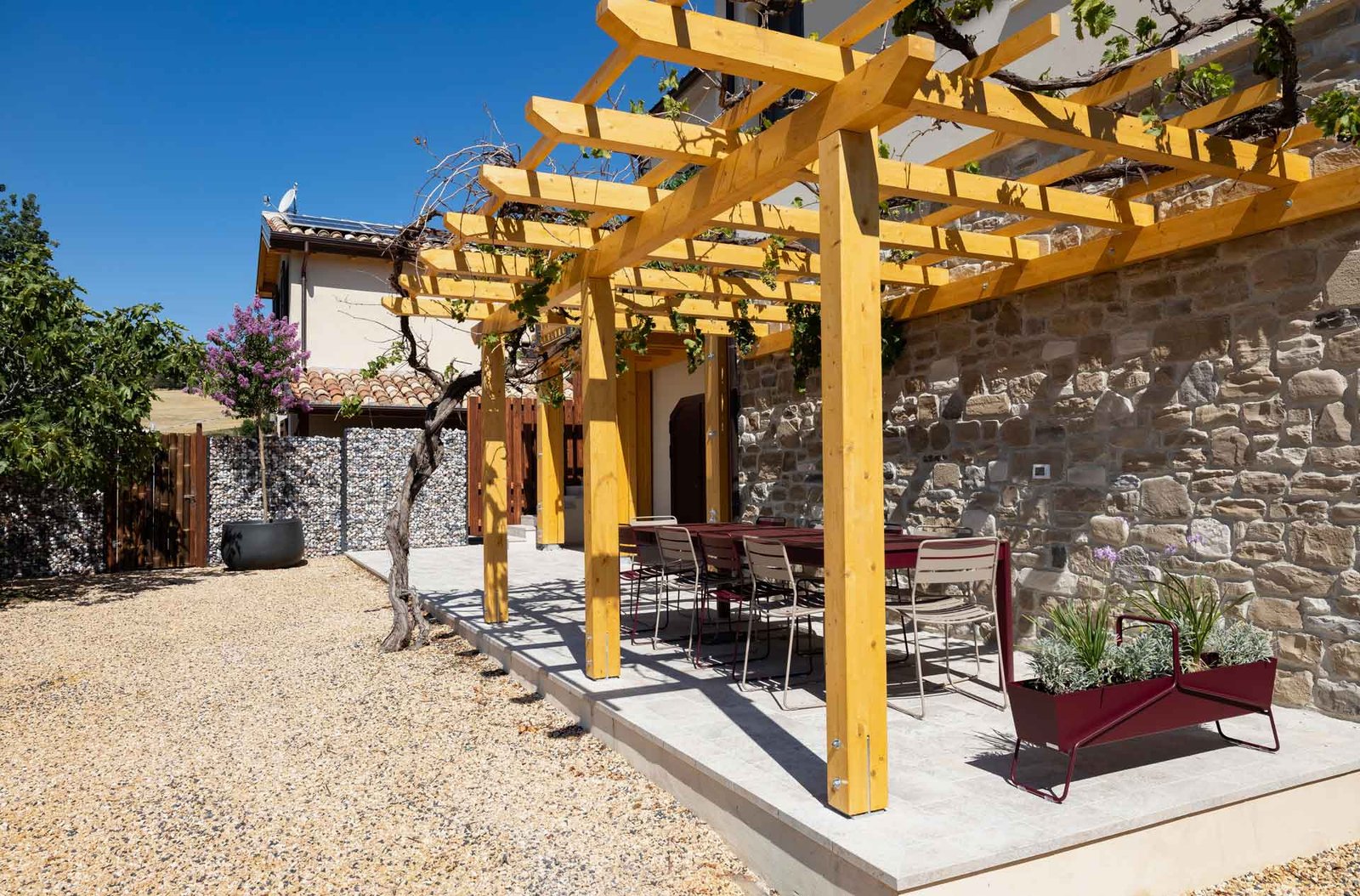 Dining table under the grape vines