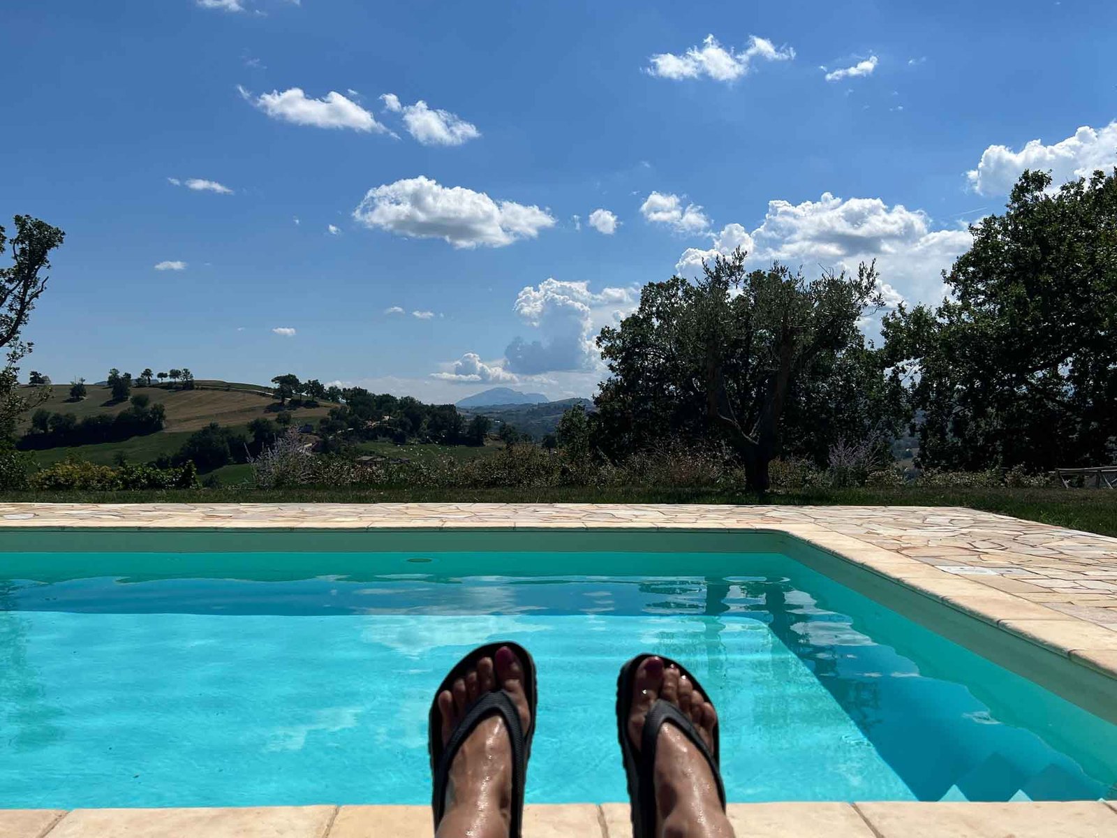 Panoramic saltwater swimming pool with mountain view at Colpo di Fortuna